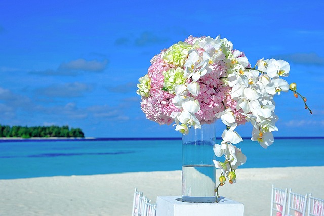 beach destination