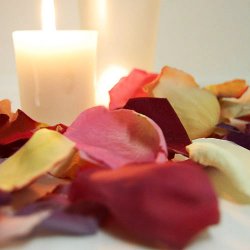 Natural color freeze dried rose petals for decorating.