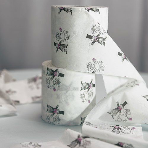Toilet paper rolls for bridal shower dress game.